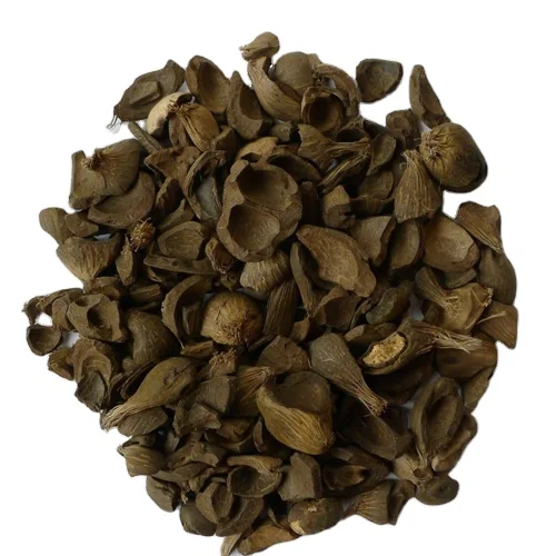 Wholesale Palm Kernel Shell(PKS)