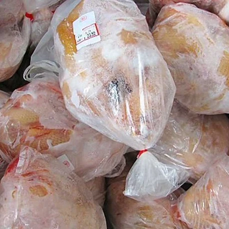  High Quality Frozen Grade A Halal Whole Chicken And