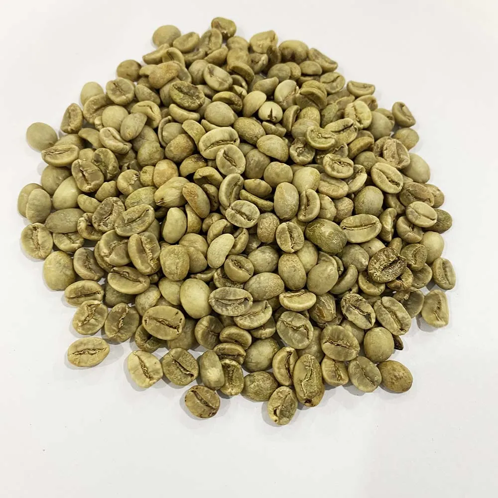 Кофе эспрессо вьетнамские кофейные зерна робуста высокого качества для продажи бренды