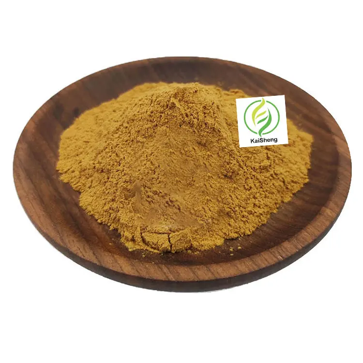 Wholesale 90% Saponins Supplements Tribulus Terrestris Extract Powder