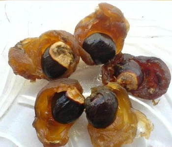 FACTORY WHOLESALE NO ADDITIVES  DRIED LONGAN FRUIT PRODUCT MADE IN VIET NAM