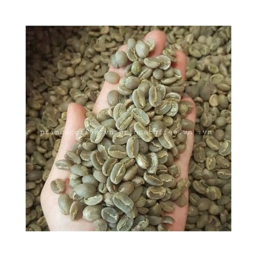 Лидер продаж вьетнамские кофейные зерна Arabica оптовая продажа зеленых кофейных зерен зерна-Сырые