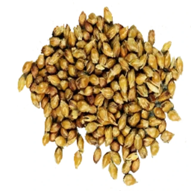 100% Raw Sunflower Seeds For Sale