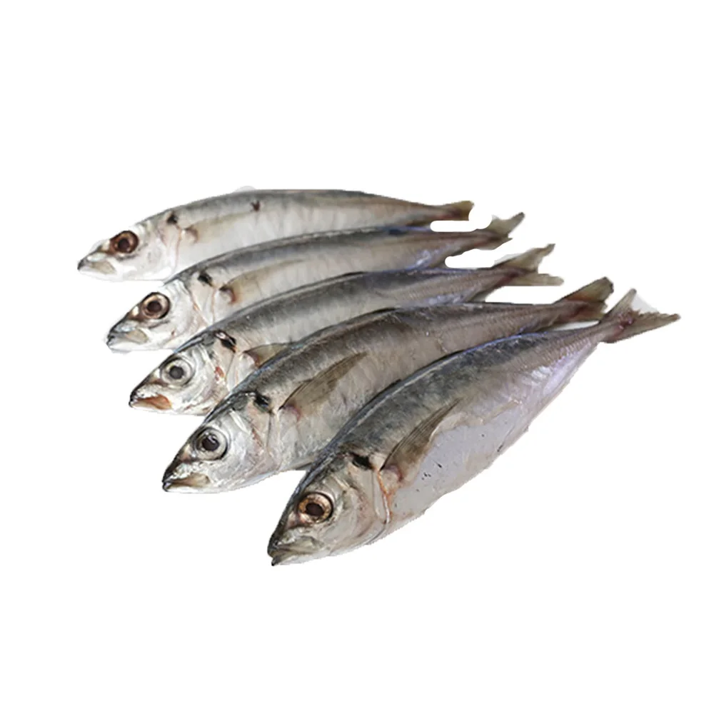 Хит продаж замороженная круглая рыба продукт компании Hai Phu с методом замораживания IQF в кунгай