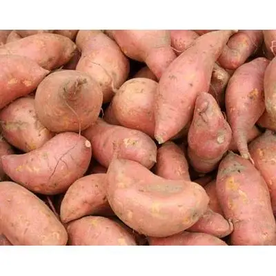 sweet-potato.jpg