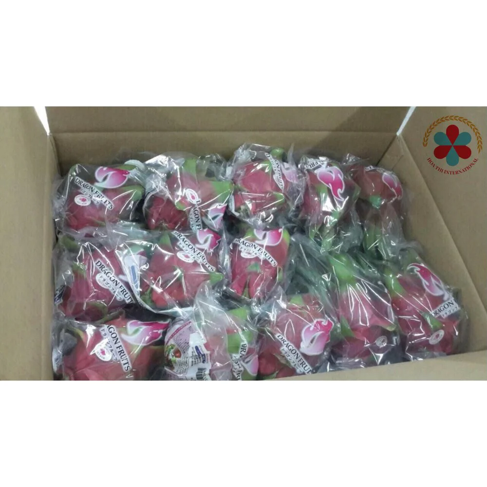 Japan market and European market 300-450gram Size Vietnam Competitive Price High quality Fresh Dragon fruit