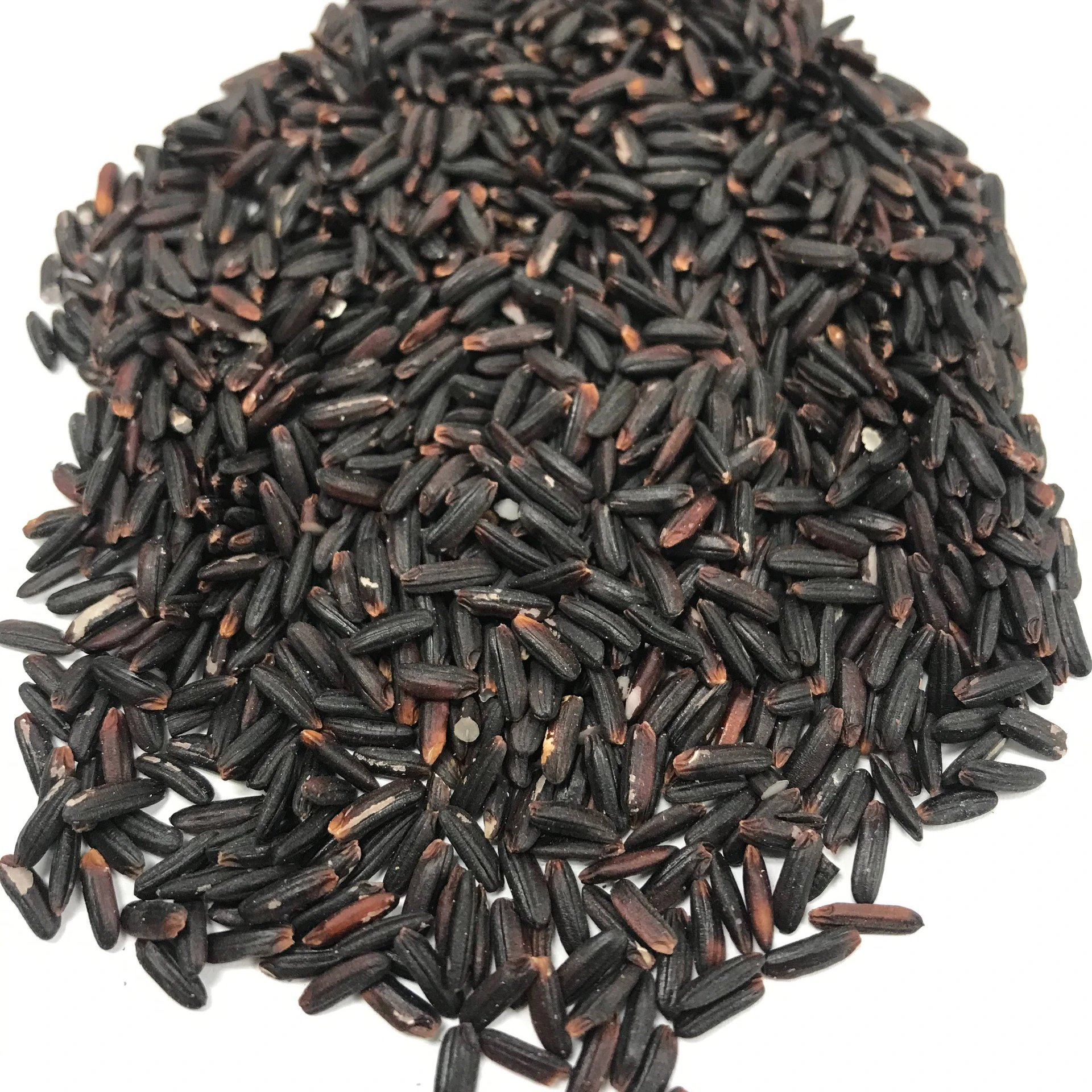 Very Cheap Price of Five Percentage Sortext Long Grain Black Rice from Vietnam