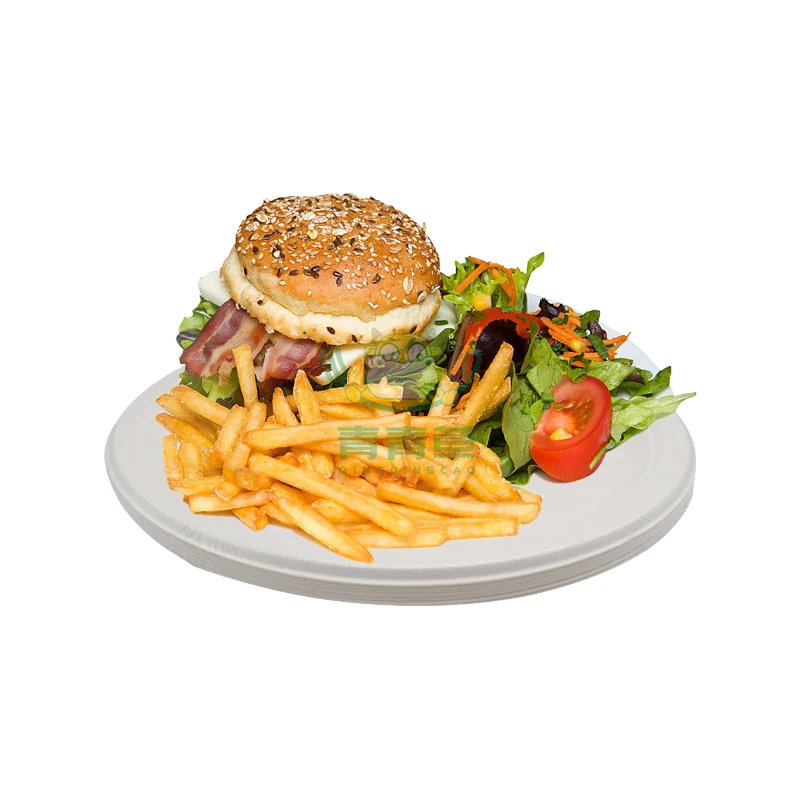 Environmental pulp packaging molded  tableware sugarcane bagasse disposable food container box