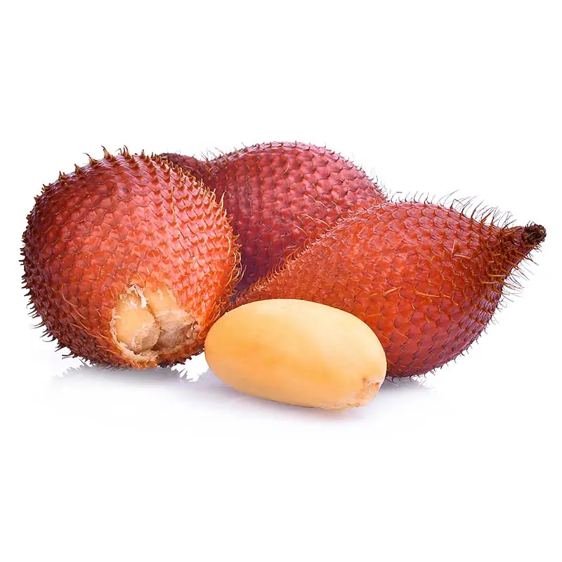 Best seller Fresh Salak Premium grade from Thailand by SP Organic International