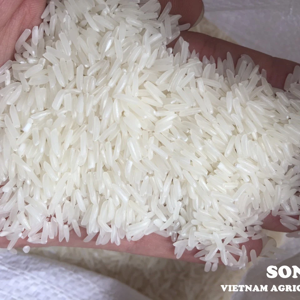 
White Rice from Vietnam / Best Rice awarded / Competitive price and High quality Packaging (ST24) 