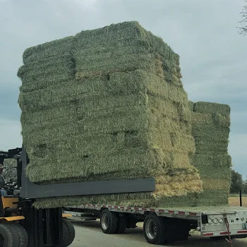 Soybean Meal Protein Dried Alfalfa Hay Pellets Timothy Hay in Bales for Horse and Pig Feeding Packaged in Bags