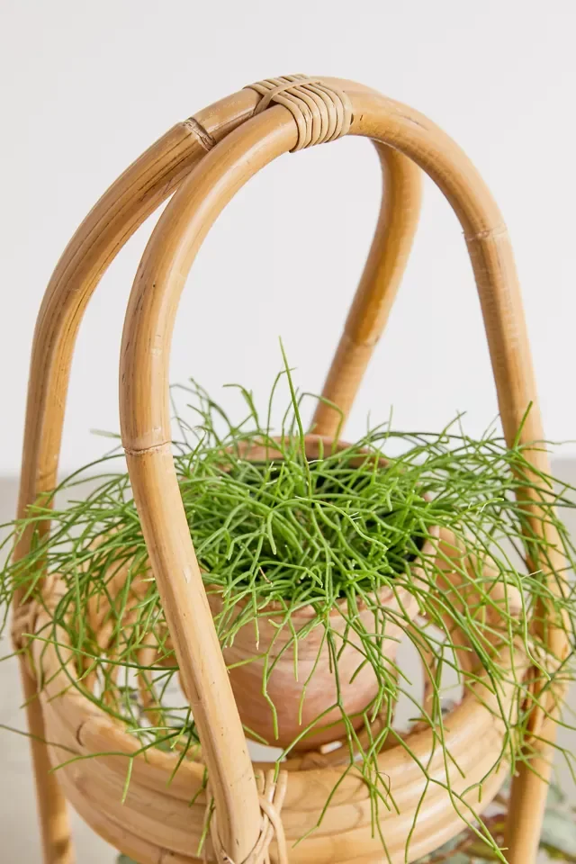 Rattan Indoor Plant Stand, Natural Planter, Rattan Standing Planter Made in Vietnam SRH-028