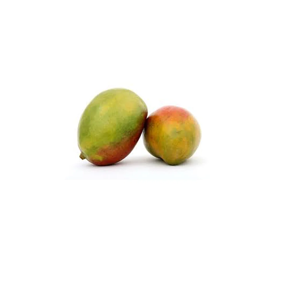
High Quality Fruit Australia Mango Sweet Style NATURAL Origin Type Variety Size Organic cultural 