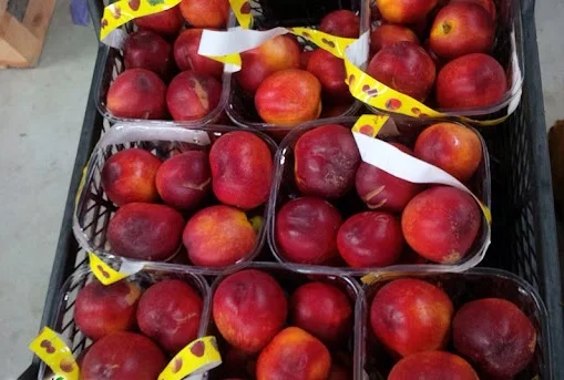 Fresh Nectarine