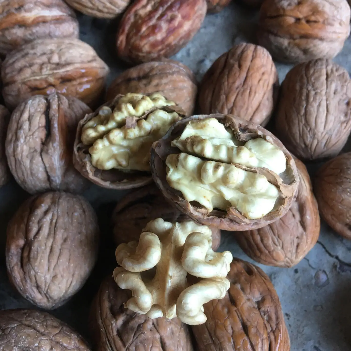 Organic Walnut Supply.jpeg