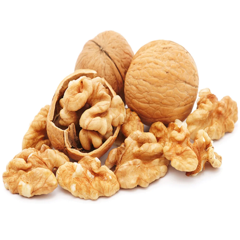 Processed Wholesale pine cedar shell At Highly Competitive Prices