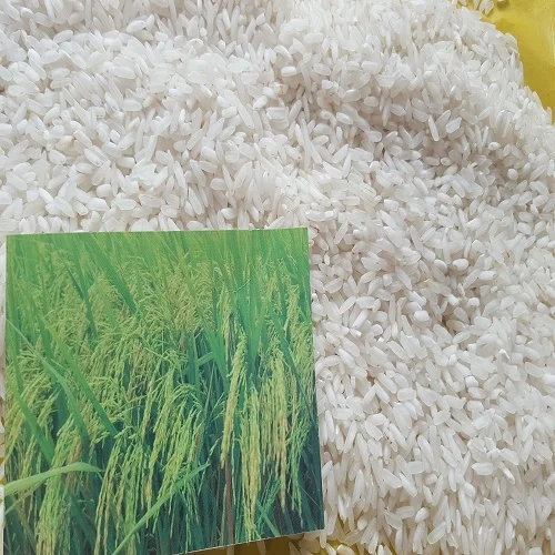 Высококачественный 5% сломанный вьетнамский длинный зернистый рис с новым урожаем