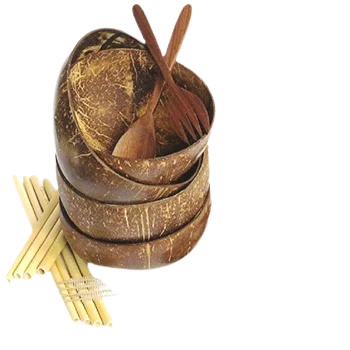 Alibaba ECO Friendly 100% biodegradable tableware Coconut shell bowl kitchen tabletop VEGAN serving bowl Vietnam Supplier