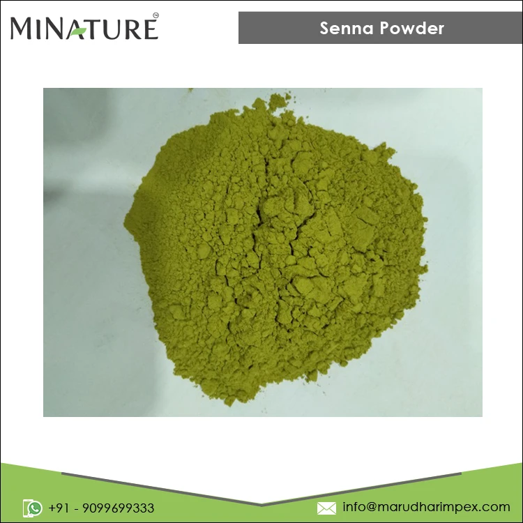 2022 Top Selling Best Quality 100% Pure and Natural Bulk Senna Herbal Powder from Indian Exporter