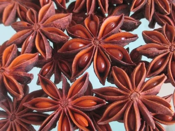 Оптовая продажа капсулы сушеного аниса весенний урожай Осенний звезды иллициума веревочные в форме звезды/Shyn Tran + 84382089109