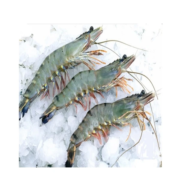 Frozen Black Tiger Shrimp HLSO Headless Shell On Shrimp Shrimp to Export made in Vietnam