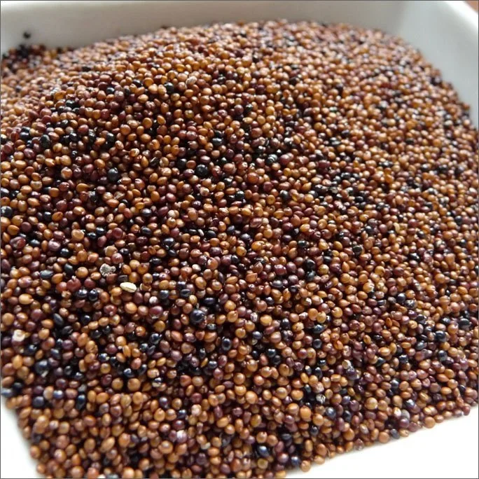 Canihua/Kanihua/Kaniwa зерна из Перу Топ экспортер + 51 921 959 407