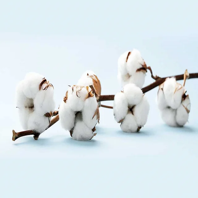 NATURAL RAW COTTON FIBER