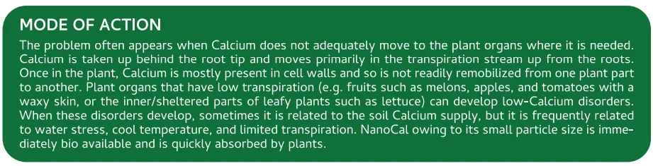 Screenshot (1252).png