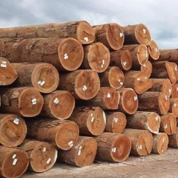 High quality ,beautiful color Padauk square logs from Turkey  for sale