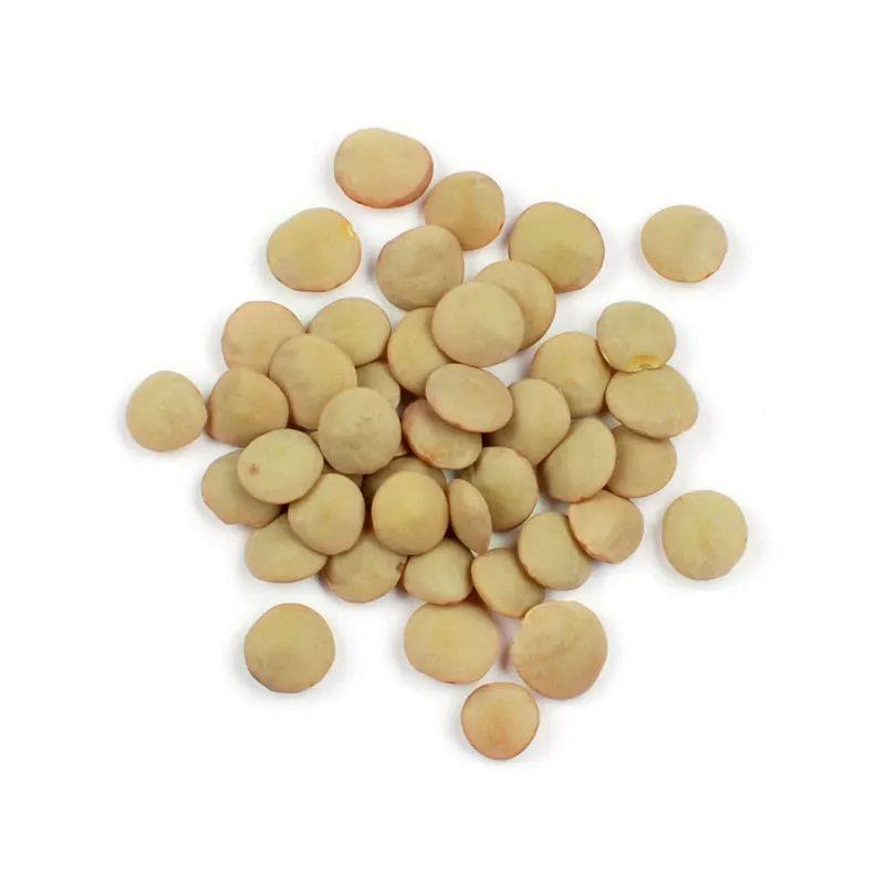 
Premium Quality Green Lentil origin USA 