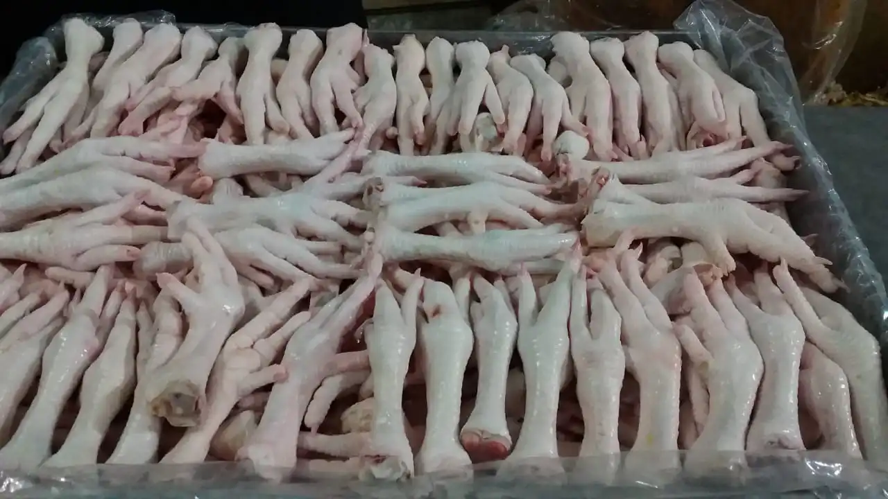 BONELESS CHICKEN FEET BONELESS FROZEN PROCESSED CHICKEN FEET EXPORTER FROM PAKISTAN