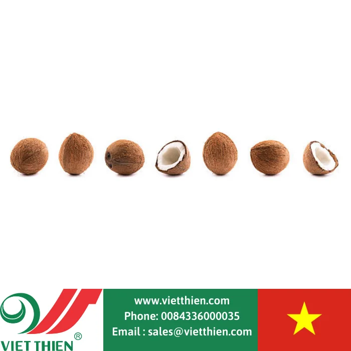 
Dried coconut copra low moisture content, high oil content, suitable for processing and producing coconut oil 