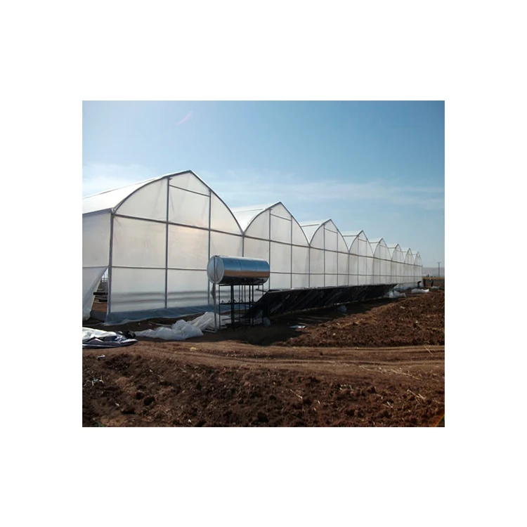 High quality industrial film greenhouses from manufacturer, multi-span greenhouses