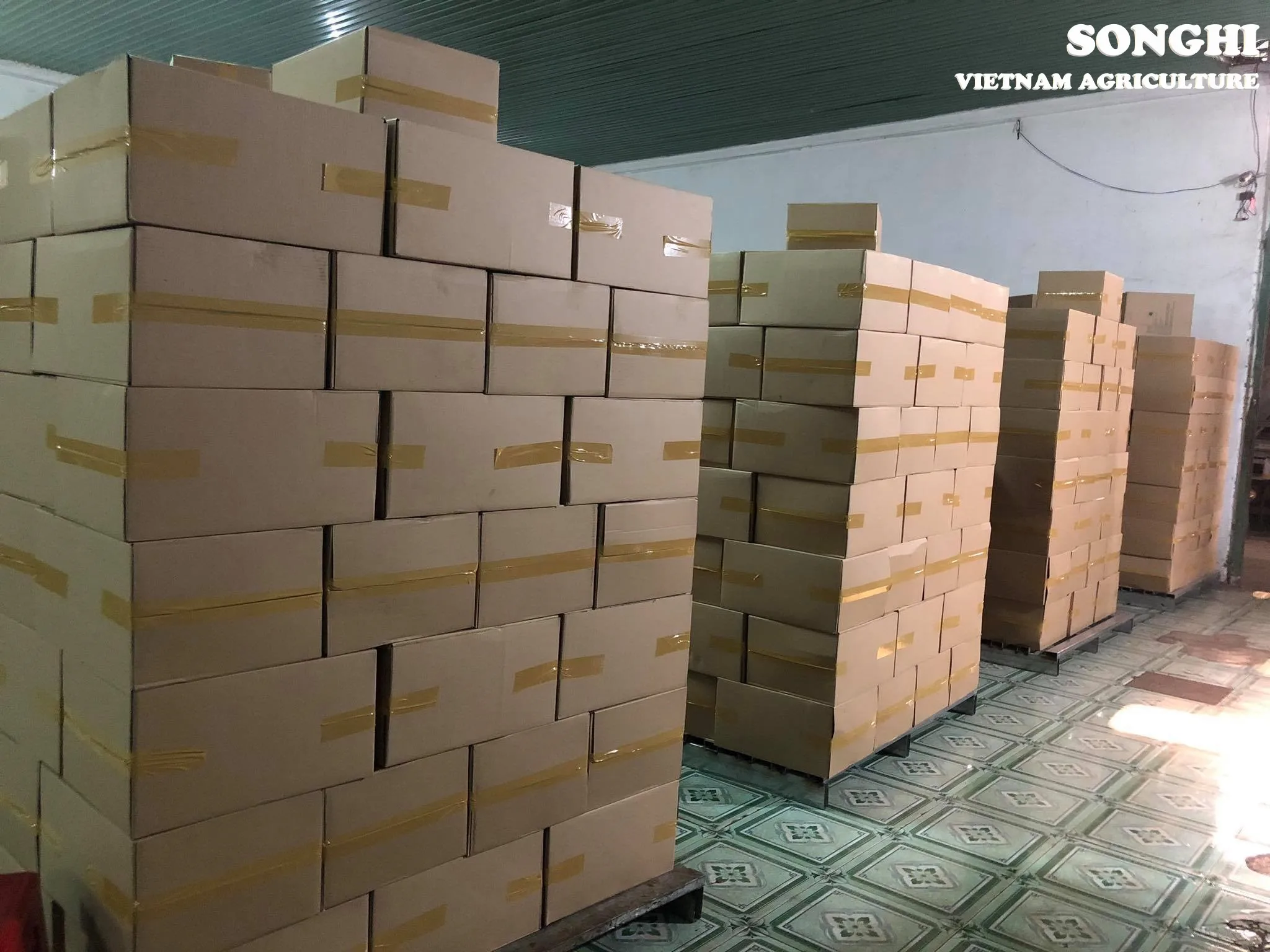 
Cashew Nuts with all type are available (W180 W240 W320 W450) for wholesale from Vietnam - W240 