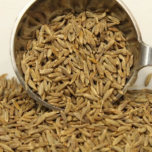 AFFORDABLE PRICE FOR CUMIN SEEDS Bangladesh