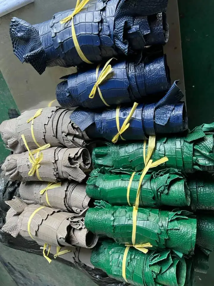 Высококачественные кожаные изделия топ 1 вьетнамские Необработанные шкуры из крокодиловой кожи для курток вьетнамская крокодиловая кожа аллигатора