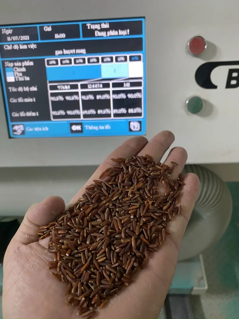 Natural Organic Red Rice Made In Viet Nam