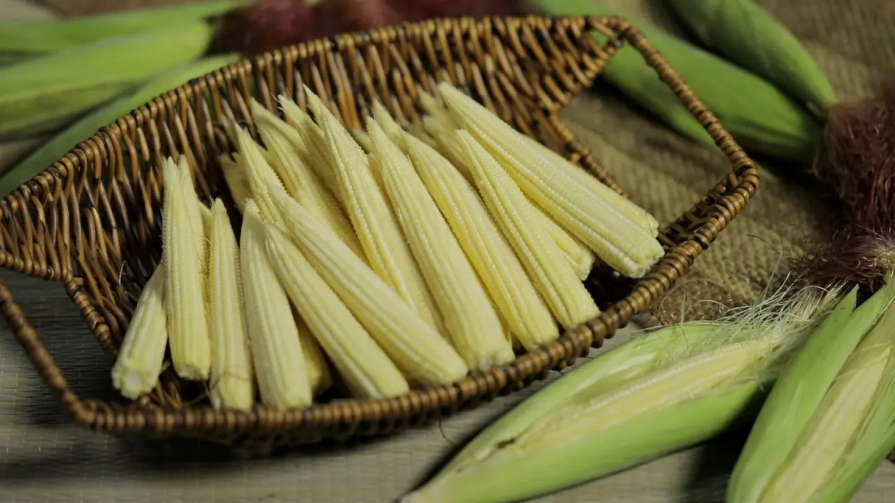 Fresh Baby Corn Produces Premium Quality Top Grade Fresh Vegetables Thailand Agriculture for Export Customized Size Weight