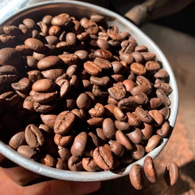  Лидер продаж высококачественные жареные кофейные зерна Robusta из вьетнамских кофейных