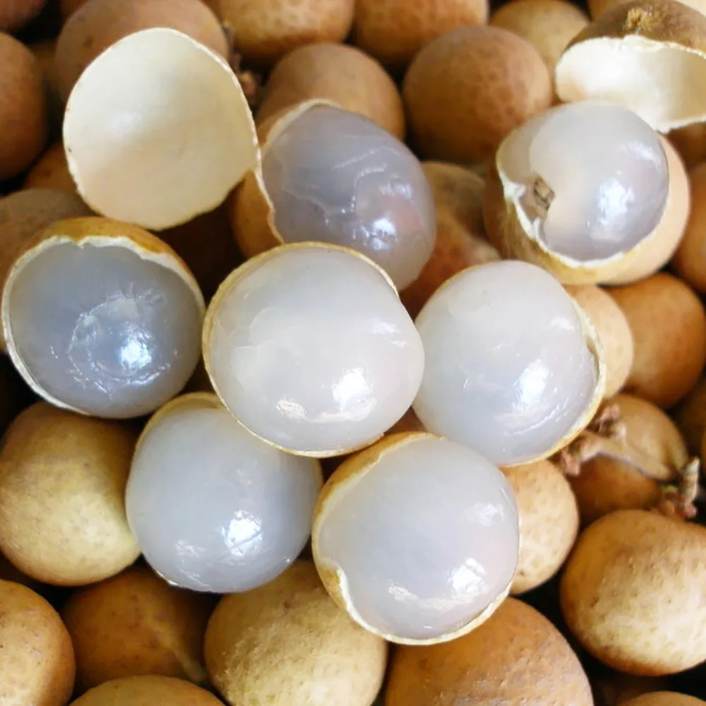 BEST SELLING PRODUCT - FROZEN LONGAN WHOLE FROM AN VAN THINH FOOD COMPANY IN VIETNAM