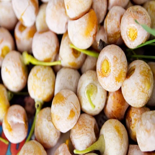 Natural Quality Best Price Raw Ginkgo Nuts Available In Bulk