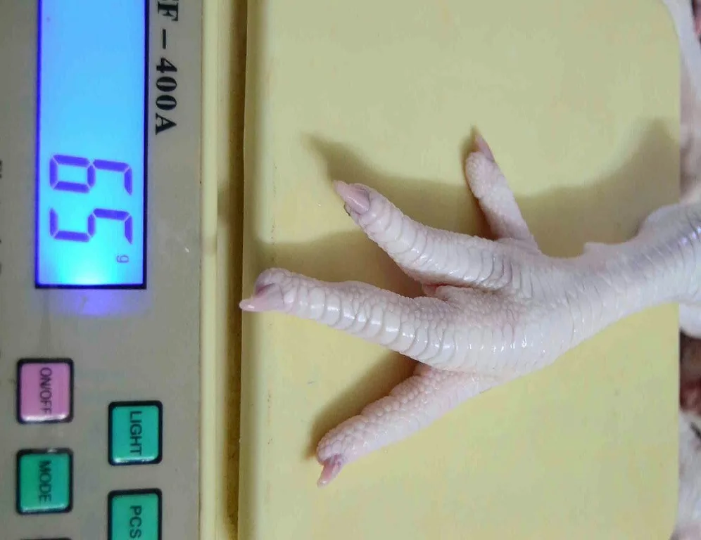 2021 лучший поставщик свежих замороженных халяльных куриных ножек/куриных ножек для продажи из Бельгии