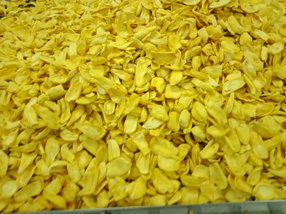 DRIED BANANA, DRY BANANA, BANANA CHIPS FOE SALE