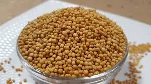 Superior Quality 100% Pure and Natural Yellow Mustard Seeds at Wholesale Price Manufactured from India