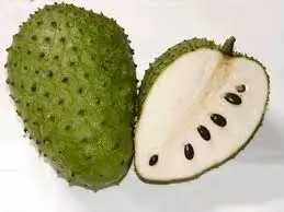 FRESH SOURSOP WITH HIGH QUALITY/Whatsapp Ms Holiday