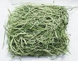 high protein cheap alfalfa hay Animal
