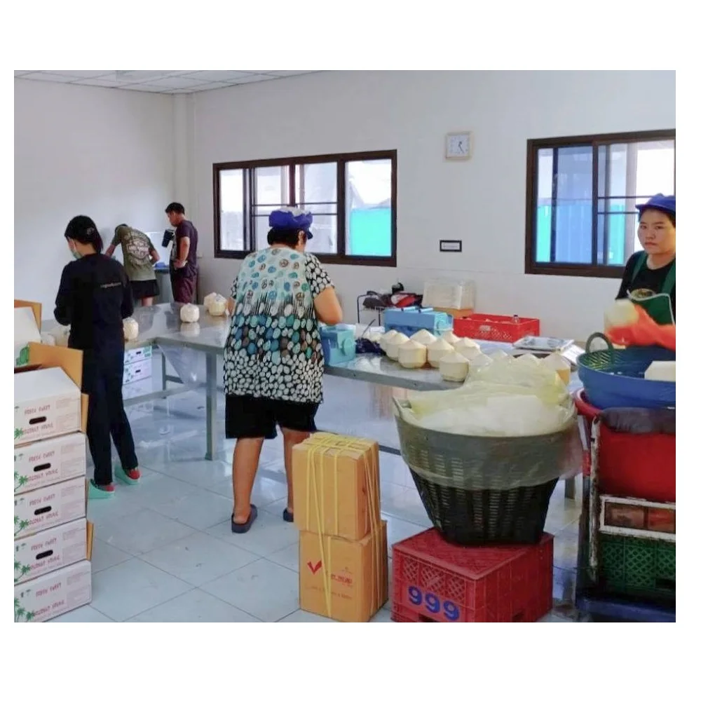 
720 - 900 g Weight Carton Packing coconut fresh coconut young coconut- cocobe export from Thailand 