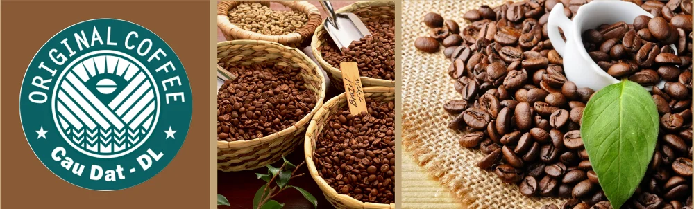Arabica Roasted Culi Coffee Beans with Fairtrade Certification Premium