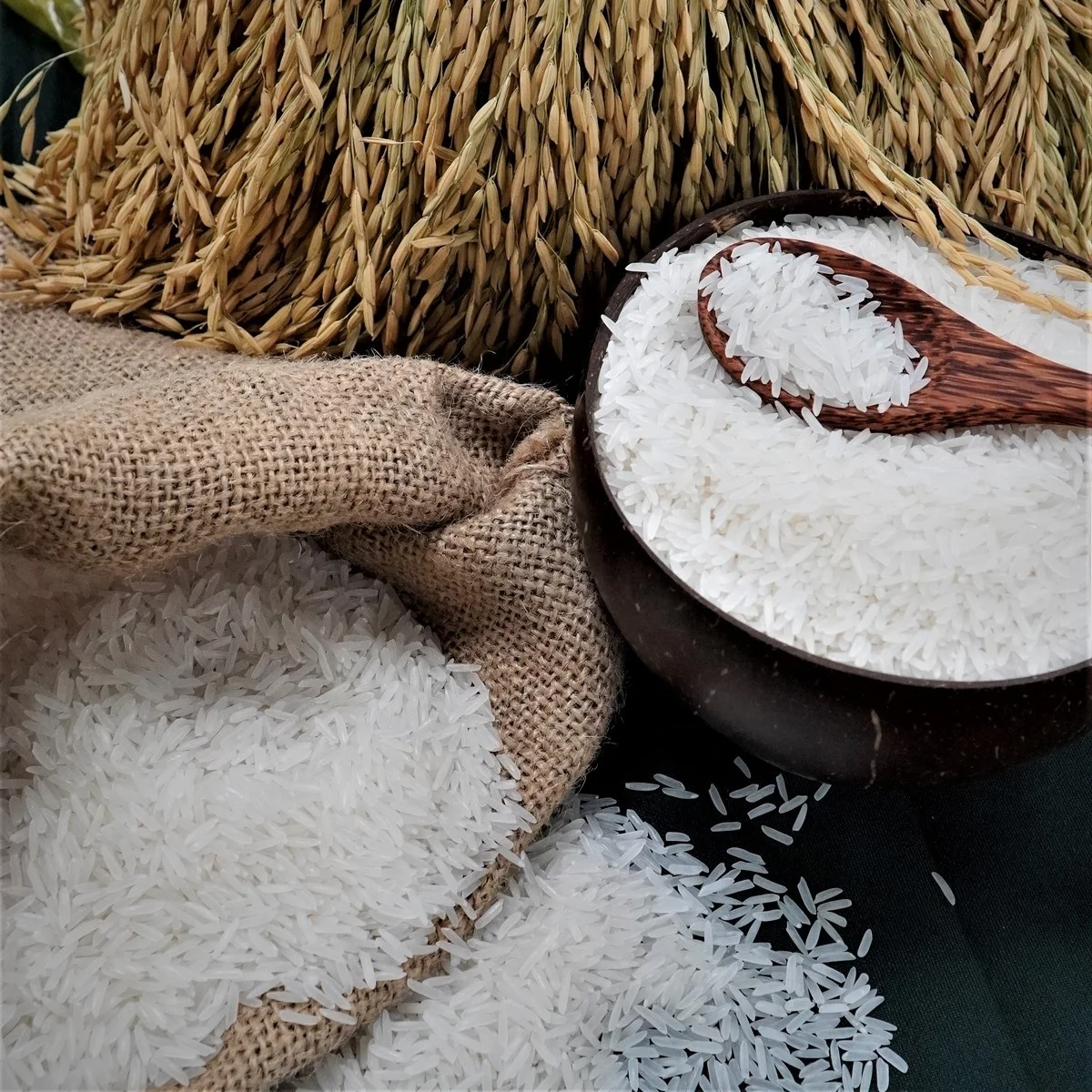 Premium Quality Wholesale ST24 Rice Export Rice Long Grain White From Vietnam Contact us for Best Price