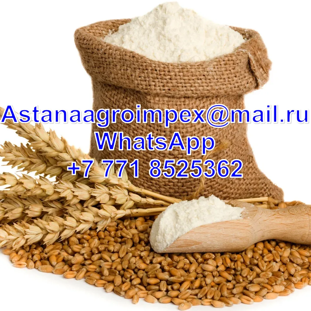 
Wheat flour from Kazakhstan at a wholesale price 